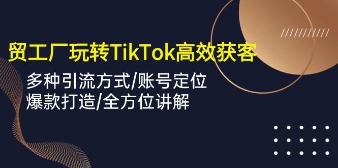 外贸工厂玩转TikTok高效获客，多种引流方式/账号定位/爆款打造/全方位讲解-悟空云赚AI