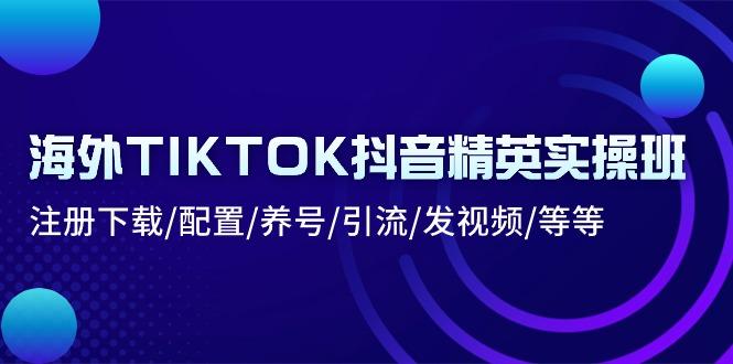 海外TIKTOK抖音精英实操班：注册下载/配置/养号/引流/发视频/等等-悟空云赚AI