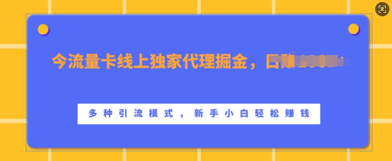 流量卡线上独家代理掘金，日入1k+ ，多种引流模式，新手小白轻松上手【揭秘】-悟空云赚AI