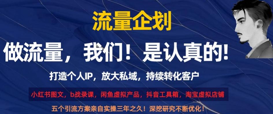 流量企划，打造个人IP，放大私域，持续转化客户【揭秘】-悟空云赚AI