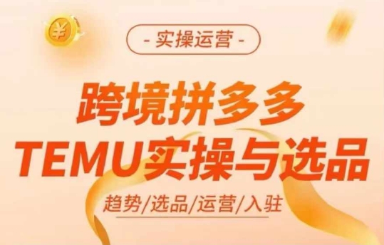 跨境拼多多TEMU实操与选品，多多temu跨境选品运营实操-悟空云赚AI