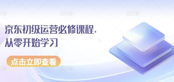 京东初级运营必修课程，从零开始学习-悟空云赚AI