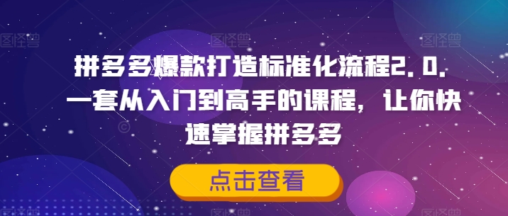 拼多多爆款打造标准化流程2.0，一套从入门到高手的课程，让你快速掌握拼多多-悟空云赚AI