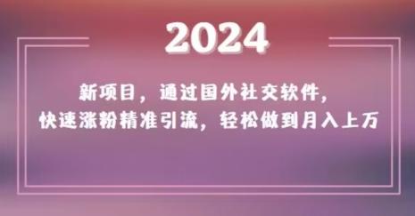 2024新项目，通过国外社交软件，快速涨粉精准引流，轻松做到月入上万【揭秘】-悟空云赚AI