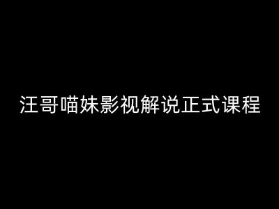 汪哥影视解说正式课程：剪映/PR教学/视解说剪辑5大黄金法则/全流程剪辑7把利器等等-悟空云赚AI