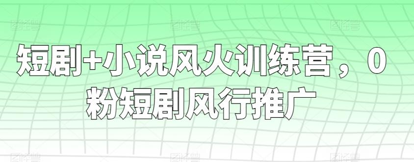 短剧+小说风火训练营，0粉短剧风行推广-悟空云赚AI