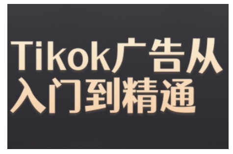 Tiktok Ads实操教程，Tiktok广告从入门到精通-悟空云赚AI