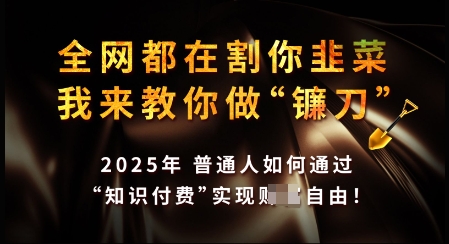 知识付费如何做到月入过W+，2025我来教你做“镰刀”【揭秘】-悟空云赚AI