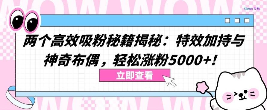 两个高效吸粉秘籍揭秘：特效加持与神奇布偶，轻松涨粉5000+【揭秘】-悟空云赚AI