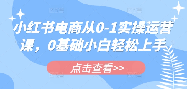 小红书电商从0-1实操运营课，0基础小白轻松上手-悟空云赚AI