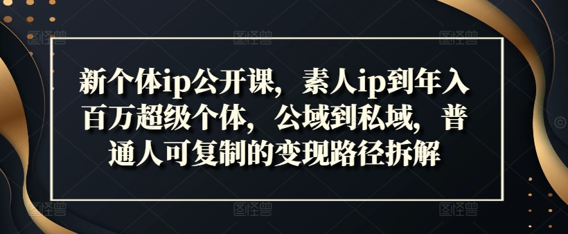 新个体ip公开课，素人ip到年入百万超级个体，公域到私域，普通人可复制的变现路径拆解-悟空云赚AI