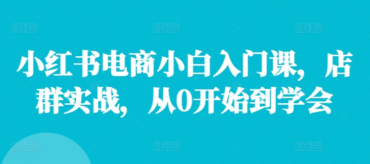 小红书电商小白入门课，店群实战，从0开始到学会-悟空云赚AI