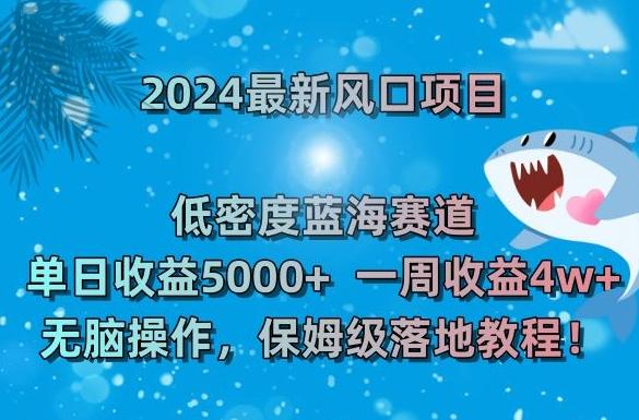 2024最新风口项目，低密度蓝海赛道，单日收益5000+，一周收益4w+！【揭秘】-悟空云赚AI