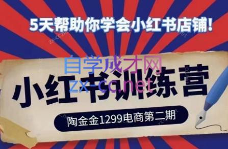 陶金金·小红书训练营(第二期)-悟空云赚AI