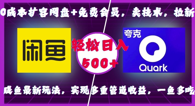 0成本扩容网盘+免费会员，卖技术，拉新，咸鱼最新玩法，实现多重管道收益，一鱼多吃，轻松日入500+-悟空云赚AI