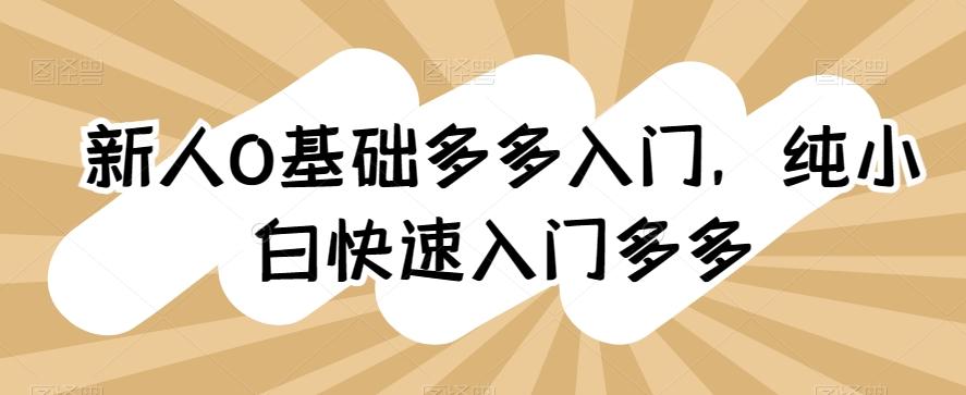 新人0基础多多入门，​纯小白快速入门多多-悟空云赚AI