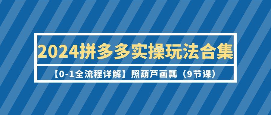 (9559期)2024拼多多实操玩法合集【0-1全流程详解】照葫芦画瓢(9节课)-悟空云赚AI