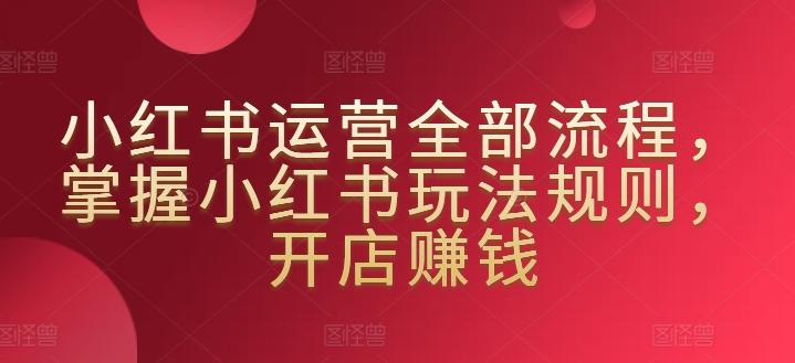 小红书运营全部流程，掌握小红书玩法规则，开店赚钱-悟空云赚AI