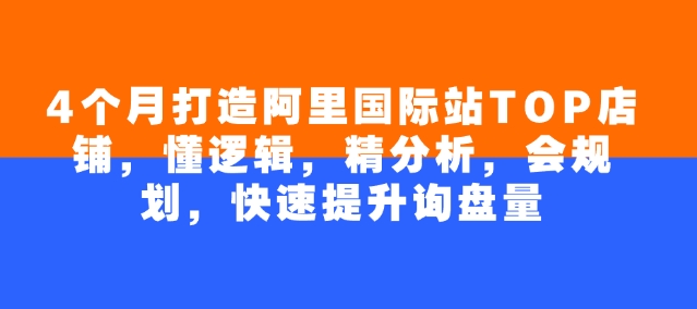 4个月打造阿里国际站TOP店铺，懂逻辑，精分析，会规划，快速提升询盘量-悟空云赚AI