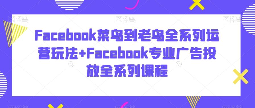 Facebook菜鸟到老鸟全系列运营玩法+Facebook专业广告投放全系列课程-悟空云赚AI