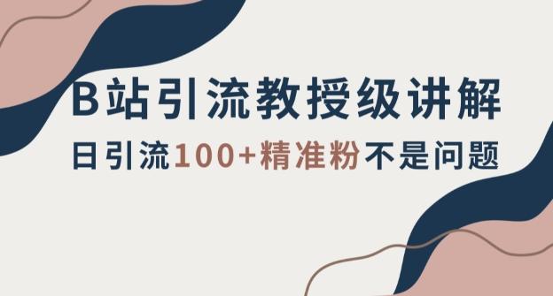 B站引流教授级讲解，细节满满，日引流100+精准粉不是问题【揭秘】-悟空云赚AI