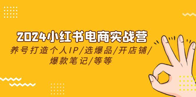 2024小红书电商实战营，养号打造IP/选爆品/开店铺/爆款笔记/等等(24节)-悟空云赚AI