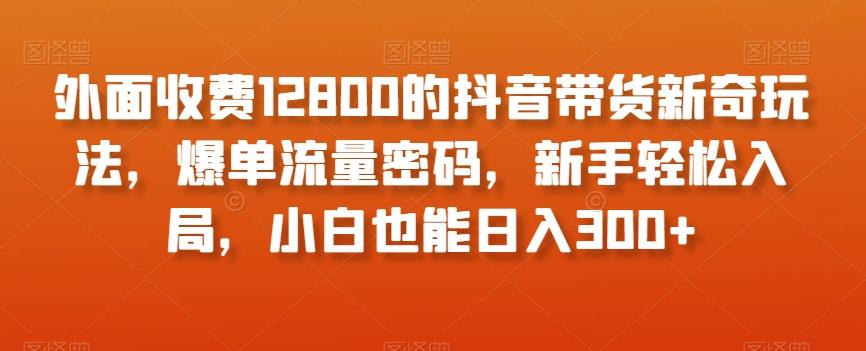 外面收费12800的抖音带货新奇玩法，爆单流量密码，新手轻松入局，小白也能日入300+【揭秘】-悟空云赚AI