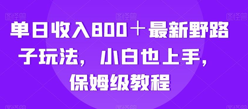 单日收入800＋最新野路子玩法，小白也上手，保姆级教程-悟空云赚AI