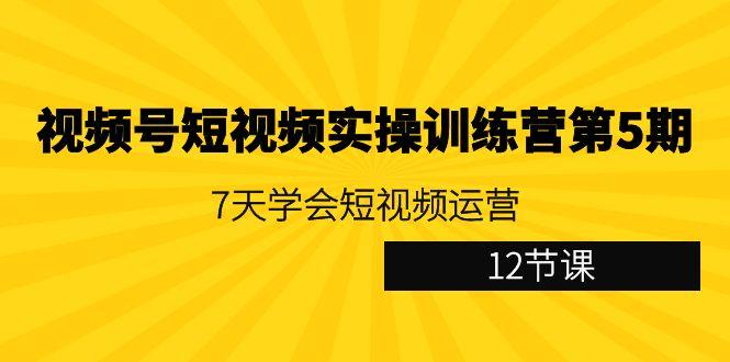 视频号短视频实操训练营第5期：7天学会短视频运营(12节课)-悟空云赚AI