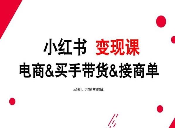 2024年最新小红书变现课，电商&买手带货&接商单，从0到1，小白高效轻创业-悟空云赚AI