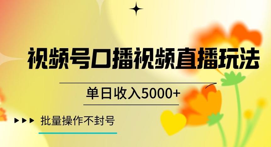 视频号囗播视频直播玩法，单日收入5000+，批量操作不封号【揭秘】-悟空云赚AI