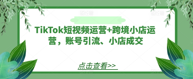 TikTok短视频运营+跨境小店运营，账号引流、小店成交-悟空云赚AI