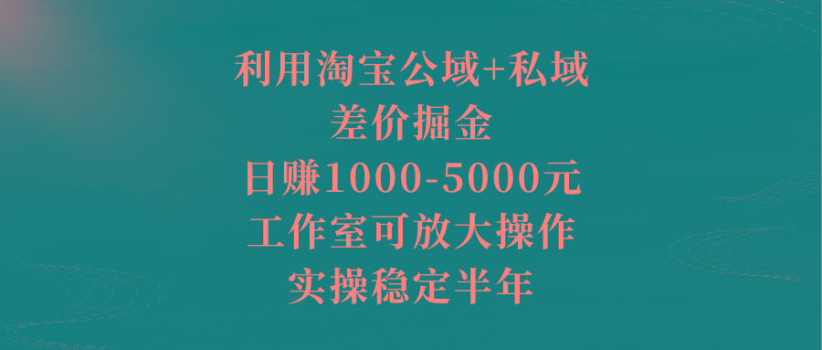利用淘宝公域+私域差价掘金，日赚1000-5000元，工作室可放大操作，实操…-悟空云赚AI