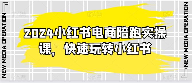 2024小红书电商陪跑实操课，快速玩转小红书，超过20节精细化课程-悟空云赚AI