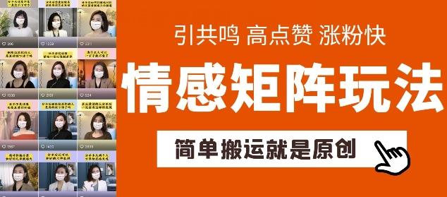 简单搬运，情感矩阵玩法，涨粉速度快，可带货，可起号【揭秘】-悟空云赚AI