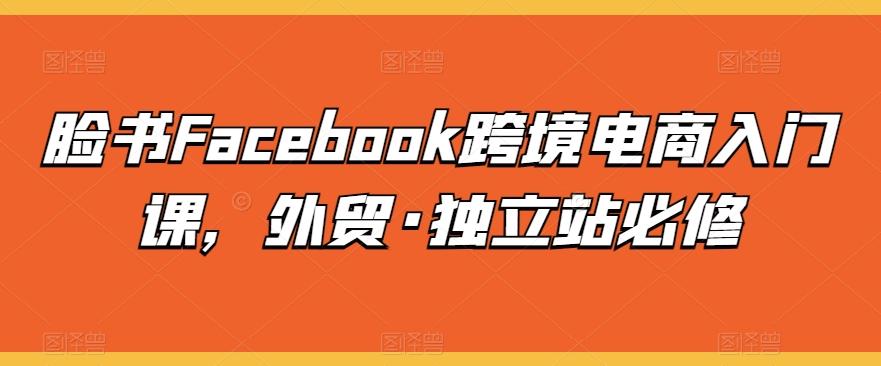 脸书Facebook跨境电商入门课，外贸·独立站必修-悟空云赚AI