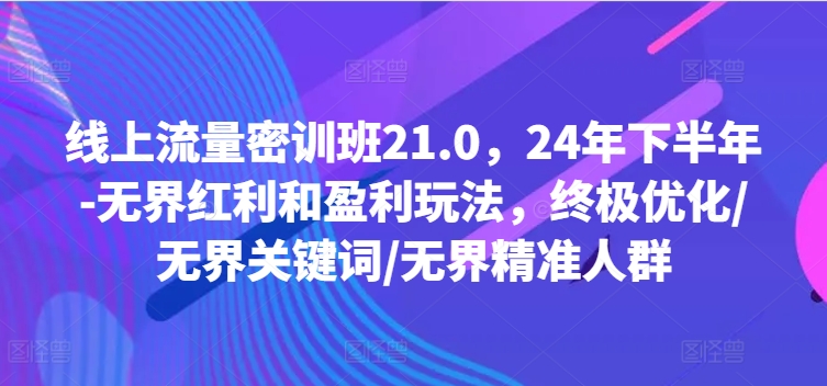 线上流量密训班21.0，24年下半年-无界红利和盈利玩法，终极优化/无界关键词/无界精准人群-悟空云赚AI