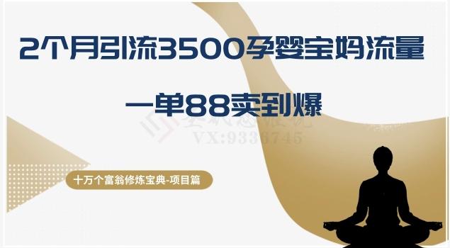 十万个富翁修炼宝典之13.2个月引流3500孕婴宝妈流量，一单88卖到爆-悟空云赚AI