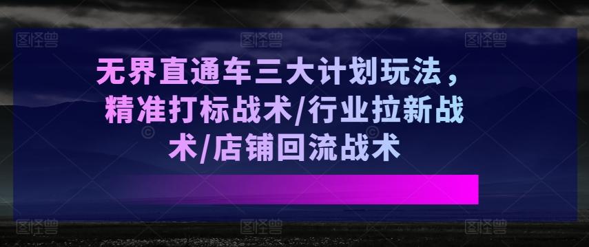 无界直通车三大计划玩法，精准打标战术/行业拉新战术/店铺回流战术-悟空云赚AI