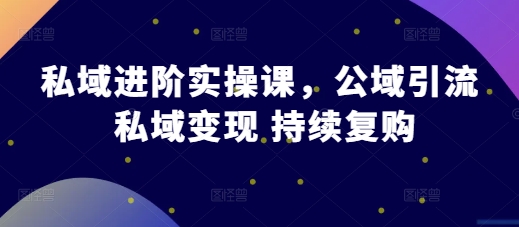 私域进阶实操课，公域引流 私域变现 持续复购-悟空云赚AI