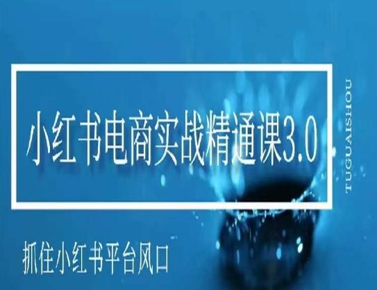 小红书电商实战精通课3.0，抓住小红书平台的风口，不错过有一个赚钱的机会-悟空云赚AI