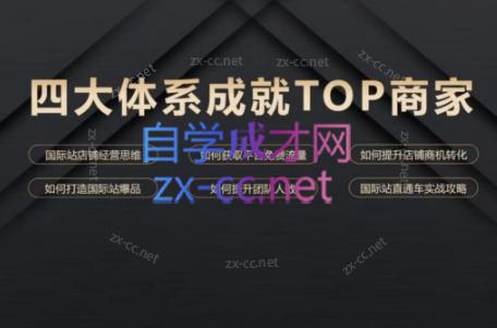 华曜·阿里巴巴国际站认知及直通车实操课程-悟空云赚AI