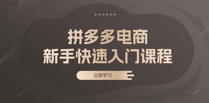 拼多多电商新手快速入门课程：涵盖基础、实战与选款，助力小白轻松上手-悟空云赚AI