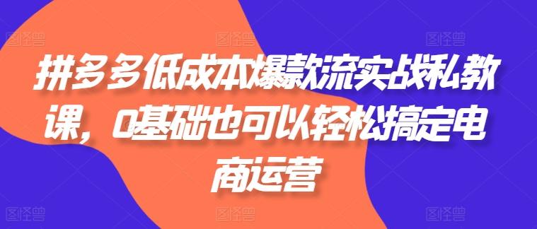 拼多多低成本爆款流实战私教课，0基础也可以轻松搞定电商运营-悟空云赚AI