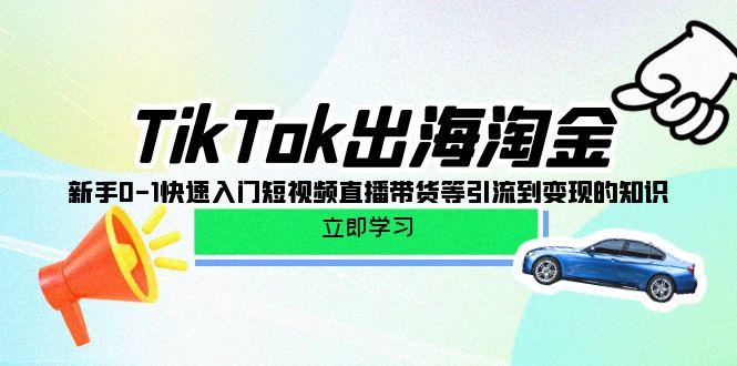 (10035期)TikTok-出海淘金，新手0-1快速入门短视频直播带货等引流到变现的知识-悟空云赚AI