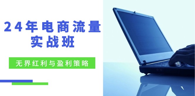 24年电商流量实战班：无界 红利与盈利策略，终极提升/关键词优化/精准…-悟空云赚AI