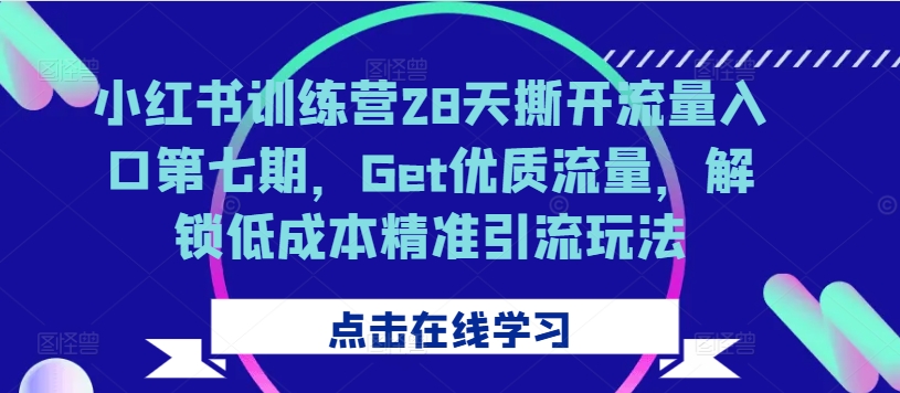 小红书训练营28天撕开流量入口第七期，Get优质流量，解锁低成本精准引流玩法-悟空云赚AI
