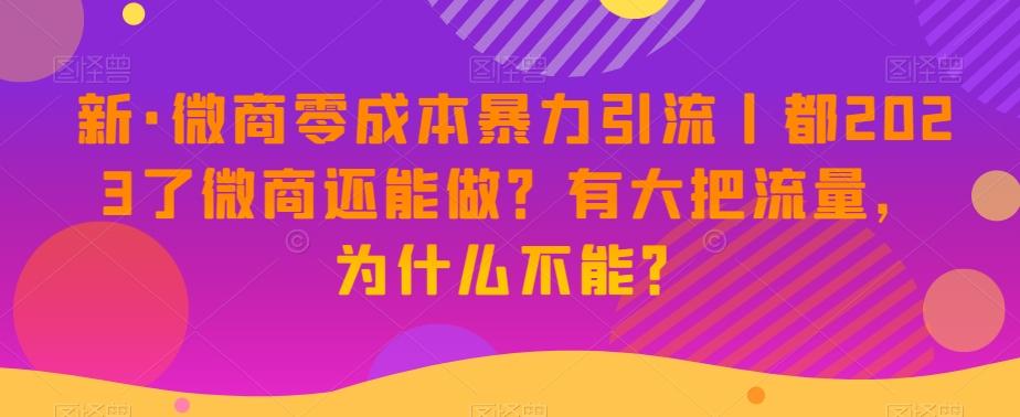 新·微商零成本暴力引流丨都2023了微商还能做？有大把流量，为什么不能？-悟空云赚AI