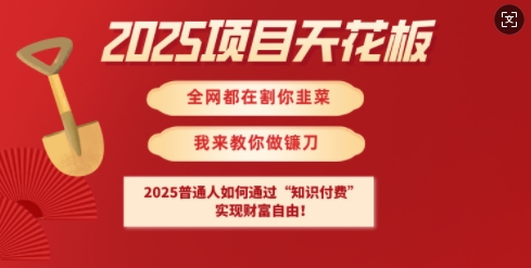 2025项目天花板普通人如何通过知识付费，实现财F自由【揭秘】-悟空云赚AI